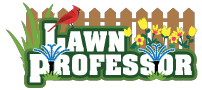 Lawn Professor